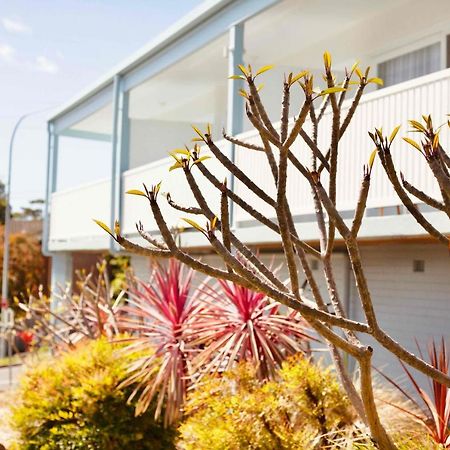 Mollymook Motel Extérieur photo