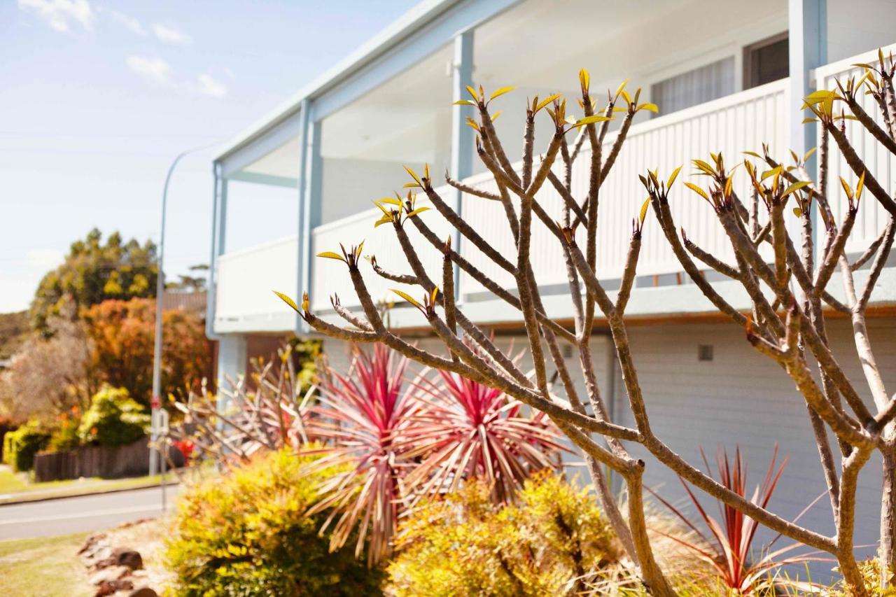 Mollymook Motel Extérieur photo